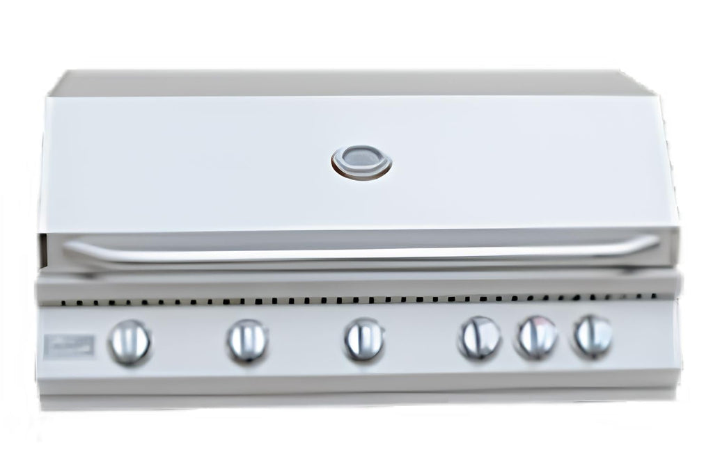 5 Burner Built-In Stainless Steel Propane Gas Grill with Back Burner E4194