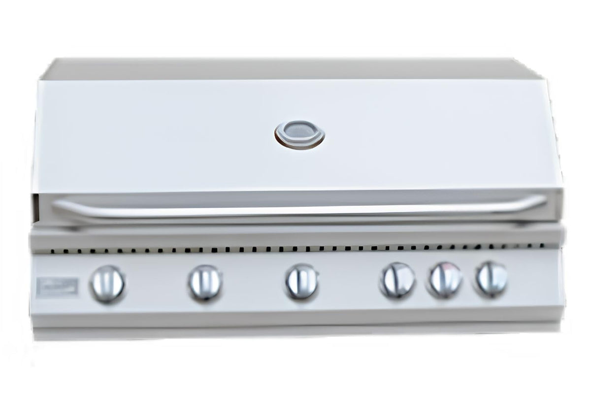5 Burner Built-In Stainless Steel Propane Gas Grill with Back Burner E4194
