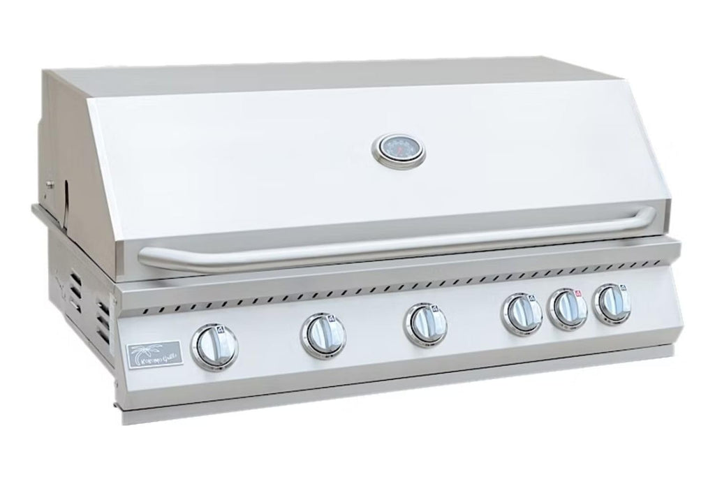 5 Burner Built-In Stainless Steel Propane Gas Grill with Back Burner E4194