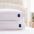 King Size Set of 2 Adjustable Hybrid Pillow K522903