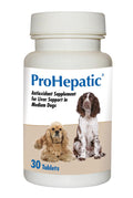 Liver Support Supplement for Dogs 30 Tablets T97151