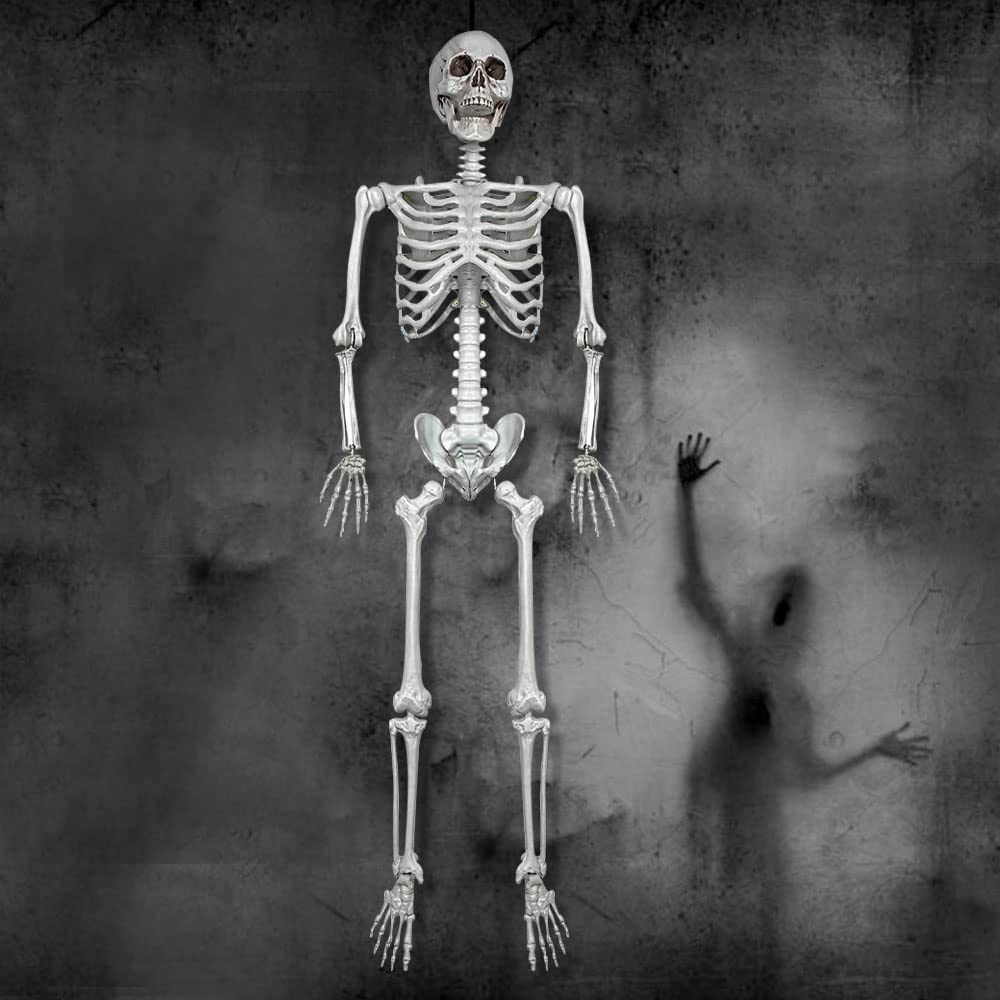 5.4Ft Life Size Skeleton with Movable Joints N81535