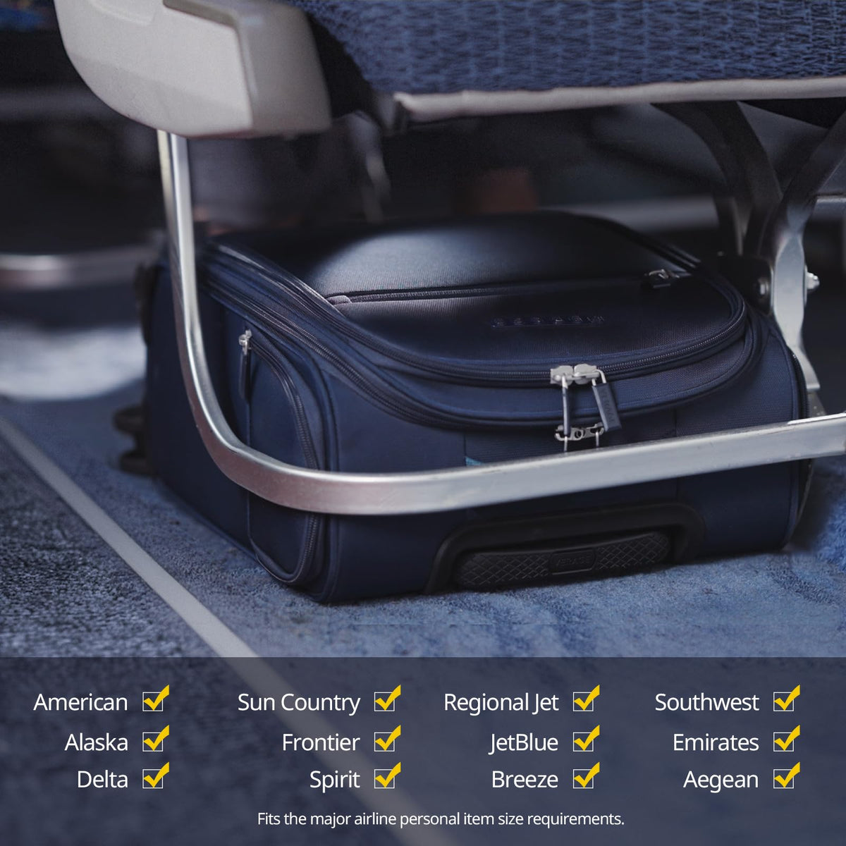14-Inch Underseat Carry On Luggage with Spinner Wheels & USB Charging Port N560569
