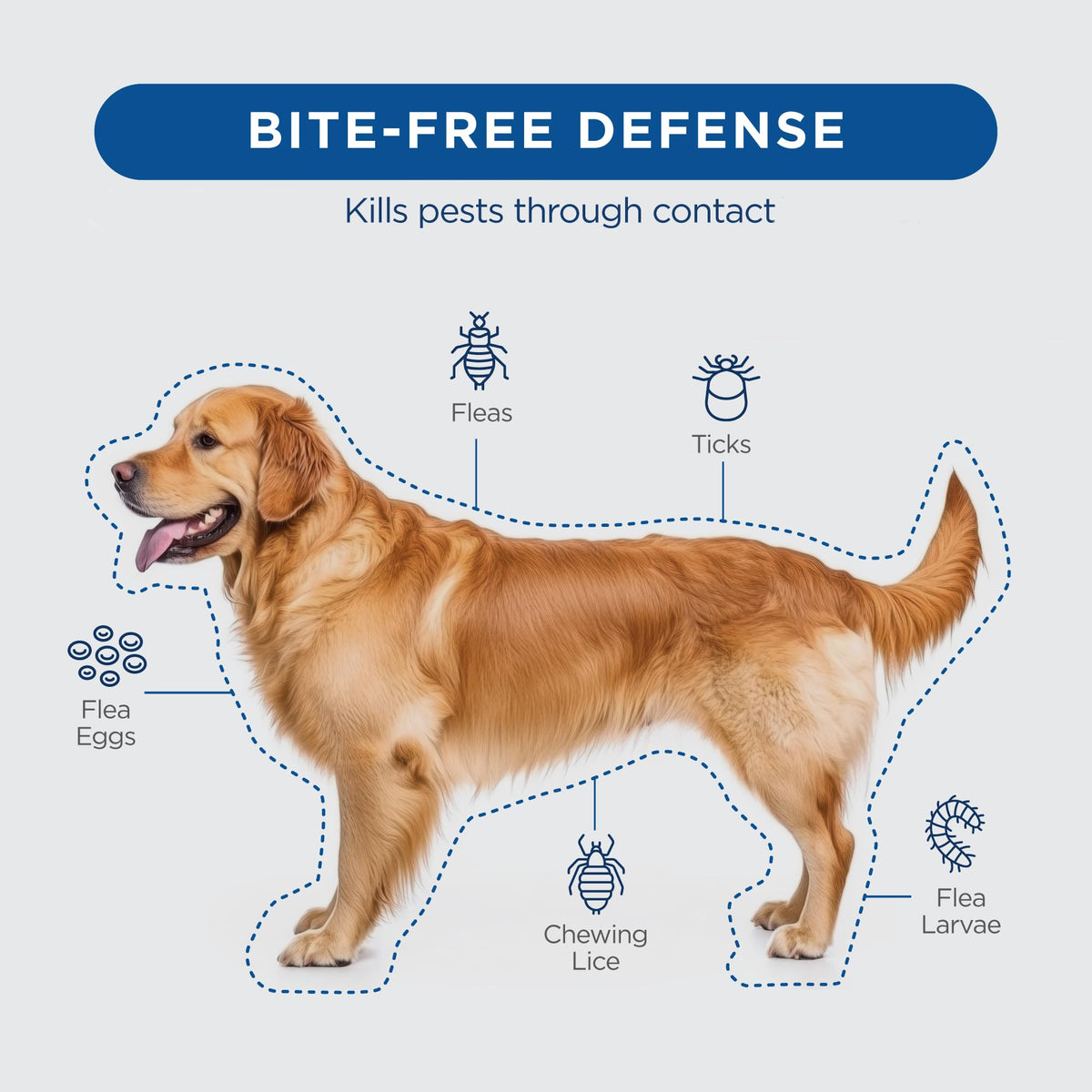 Flea and Tick Prevention for Dogs 23-44 lbs 3 Month Supply Q902