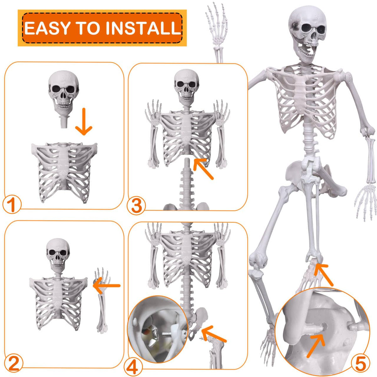 5.4Ft Life Size Skeleton with Movable Joints N81535