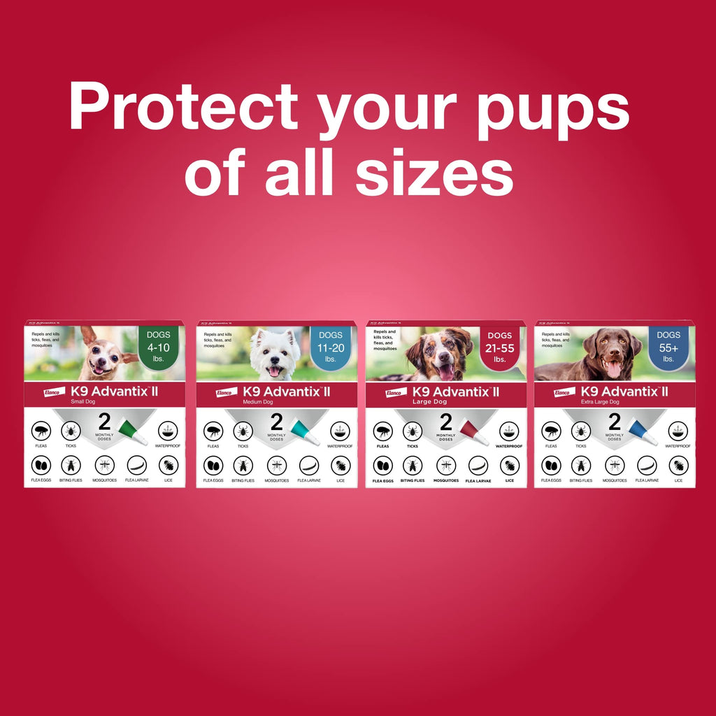 Flea & Tick Topical for Large Dogs 21–55 lbs., 2ct Z958