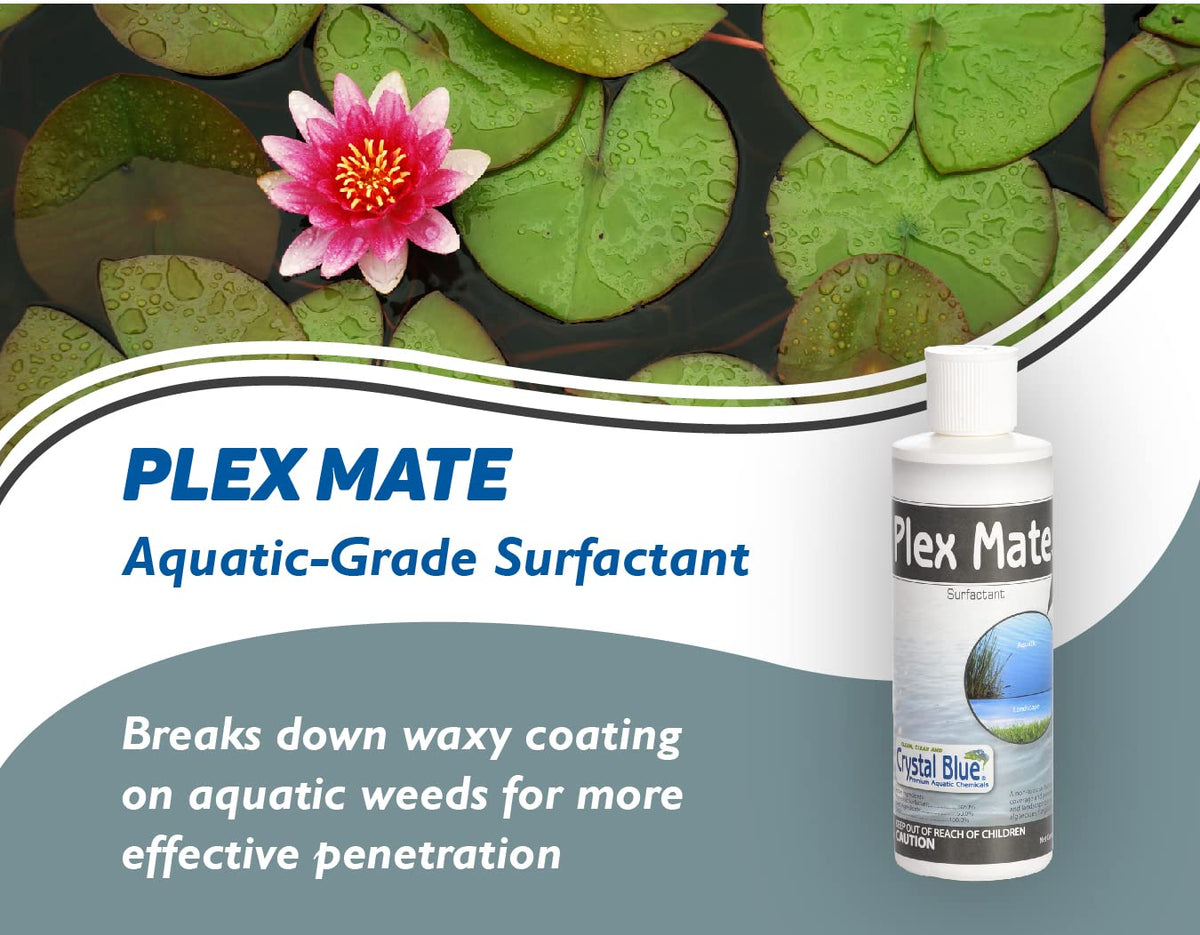 Aquatic Surfactant 8 Ounces Non-Ionic Y2861