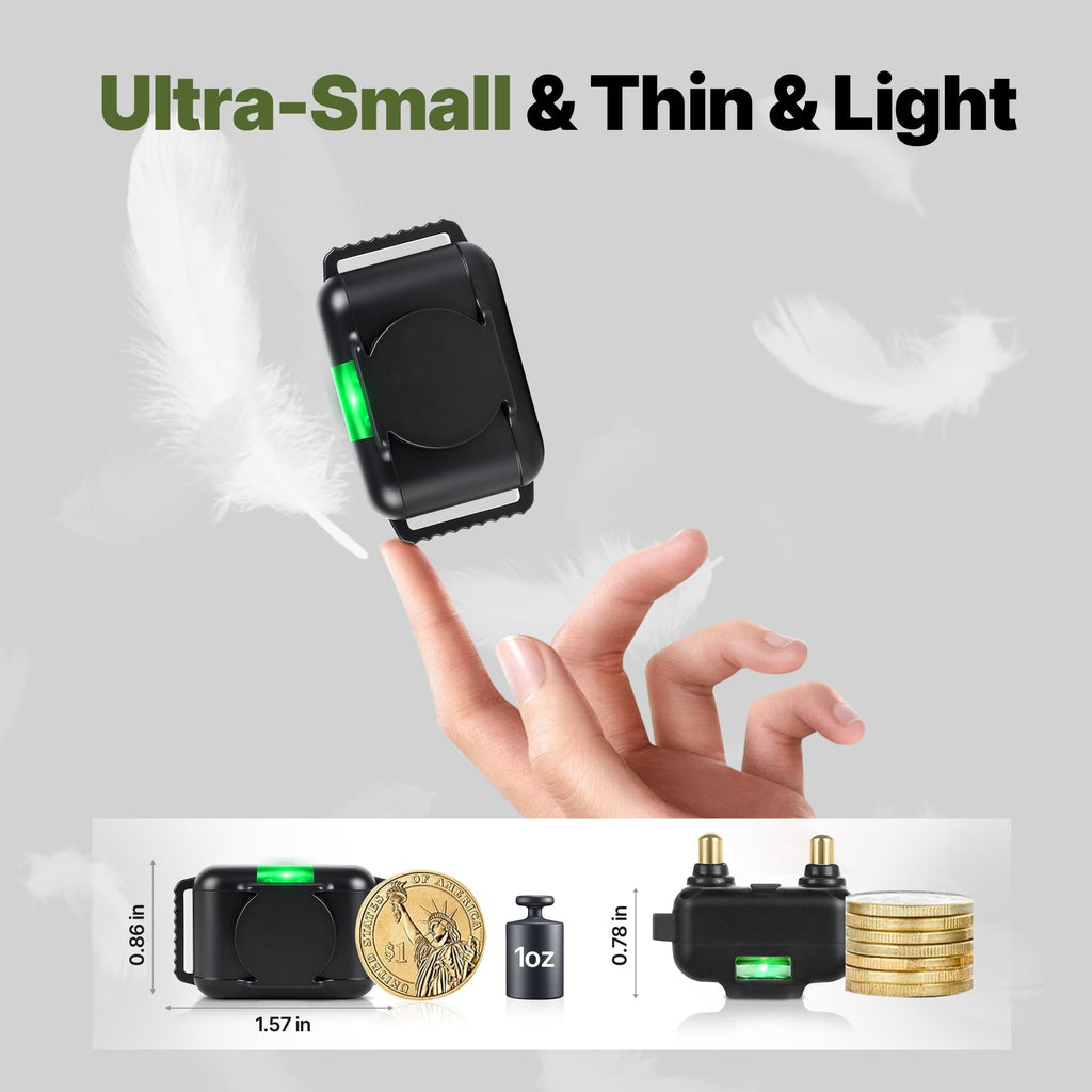 Small Cat Training Collar with Remote, Waterproof Rechargeable, Black L802