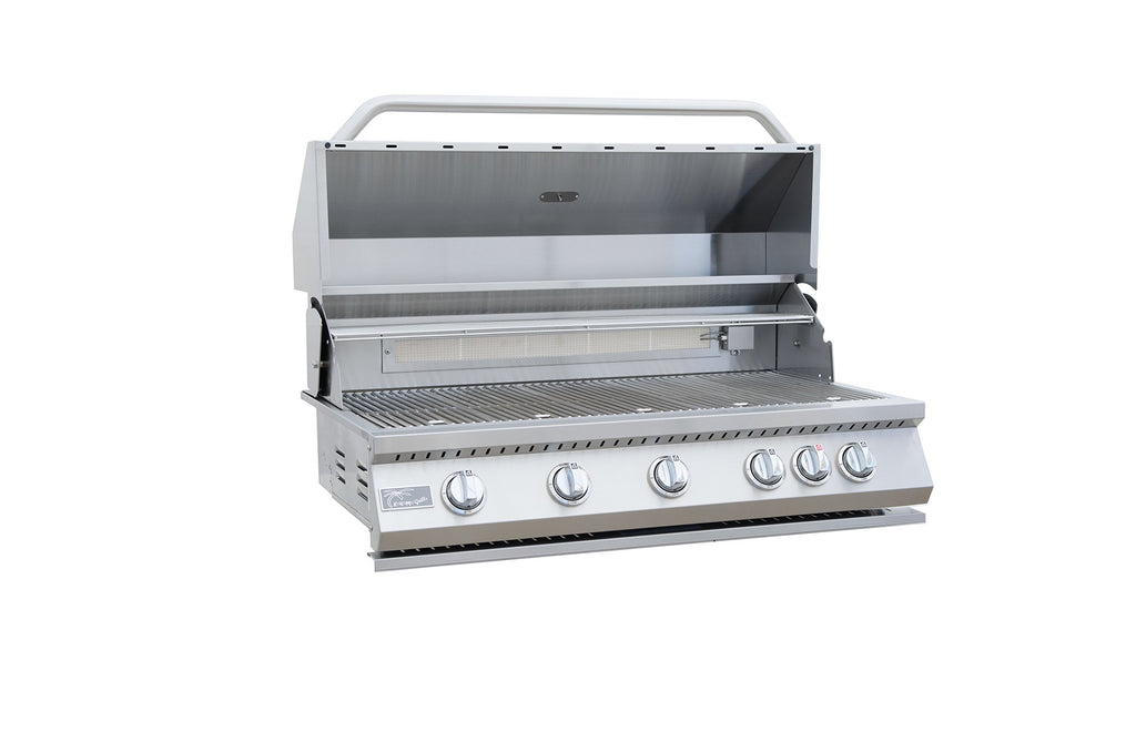 5 Burner Built-In Stainless Steel Propane Gas Grill with Back Burner E4194