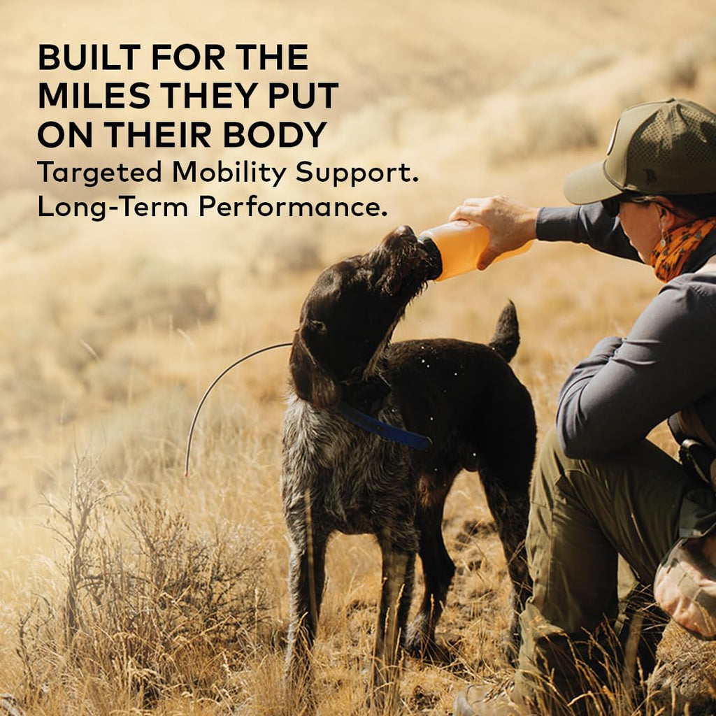 Beef Bone Broth Concentrate for Dogs, 16 oz Q977375