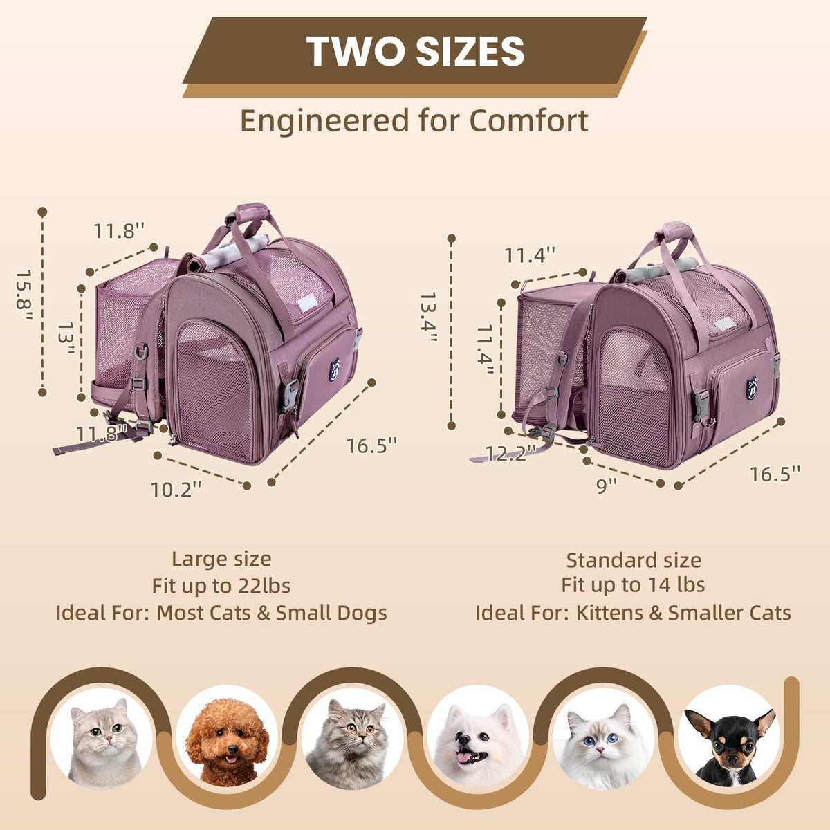 Expandable Large Cat Carrier Backpack G399
