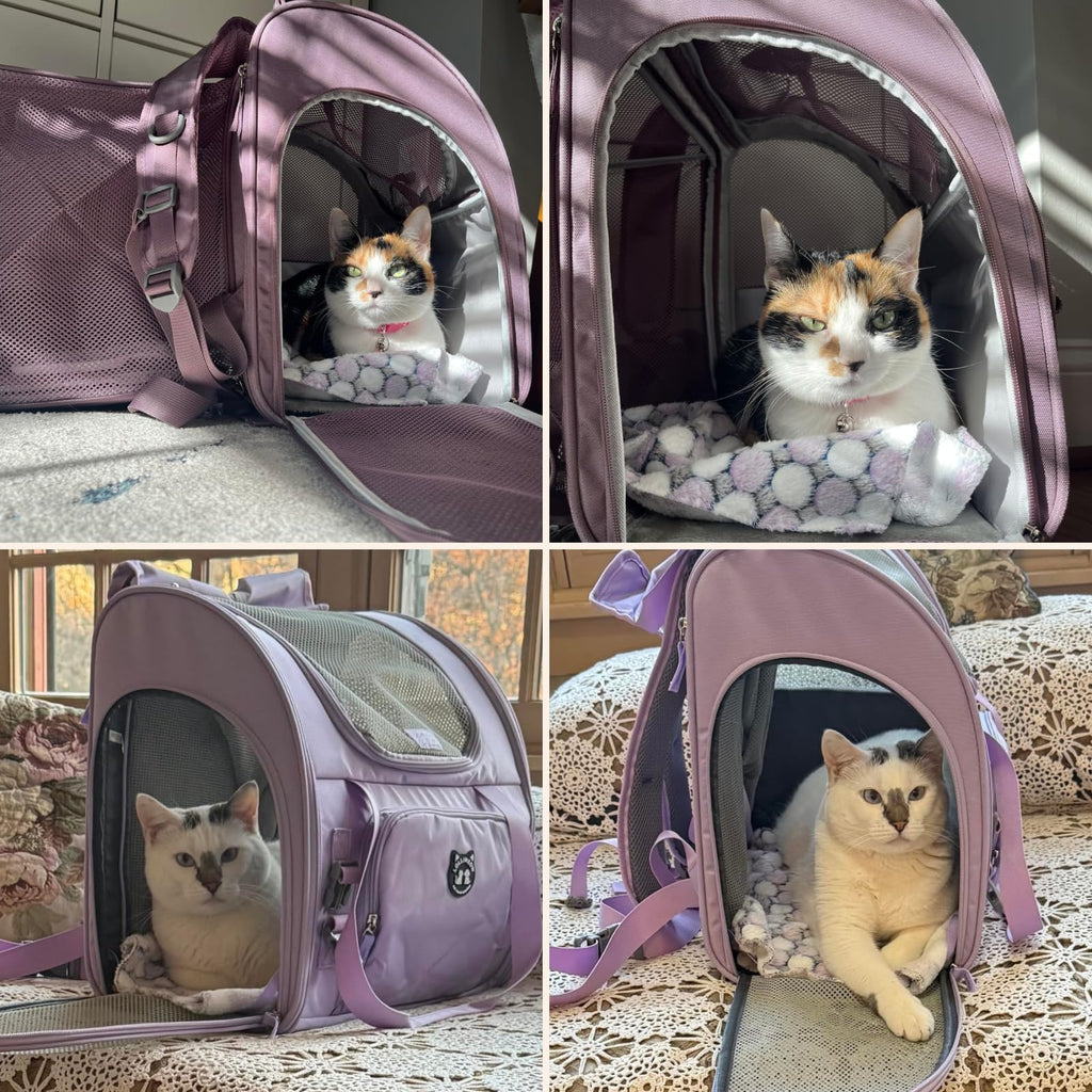 Expandable Large Cat Carrier Backpack G399