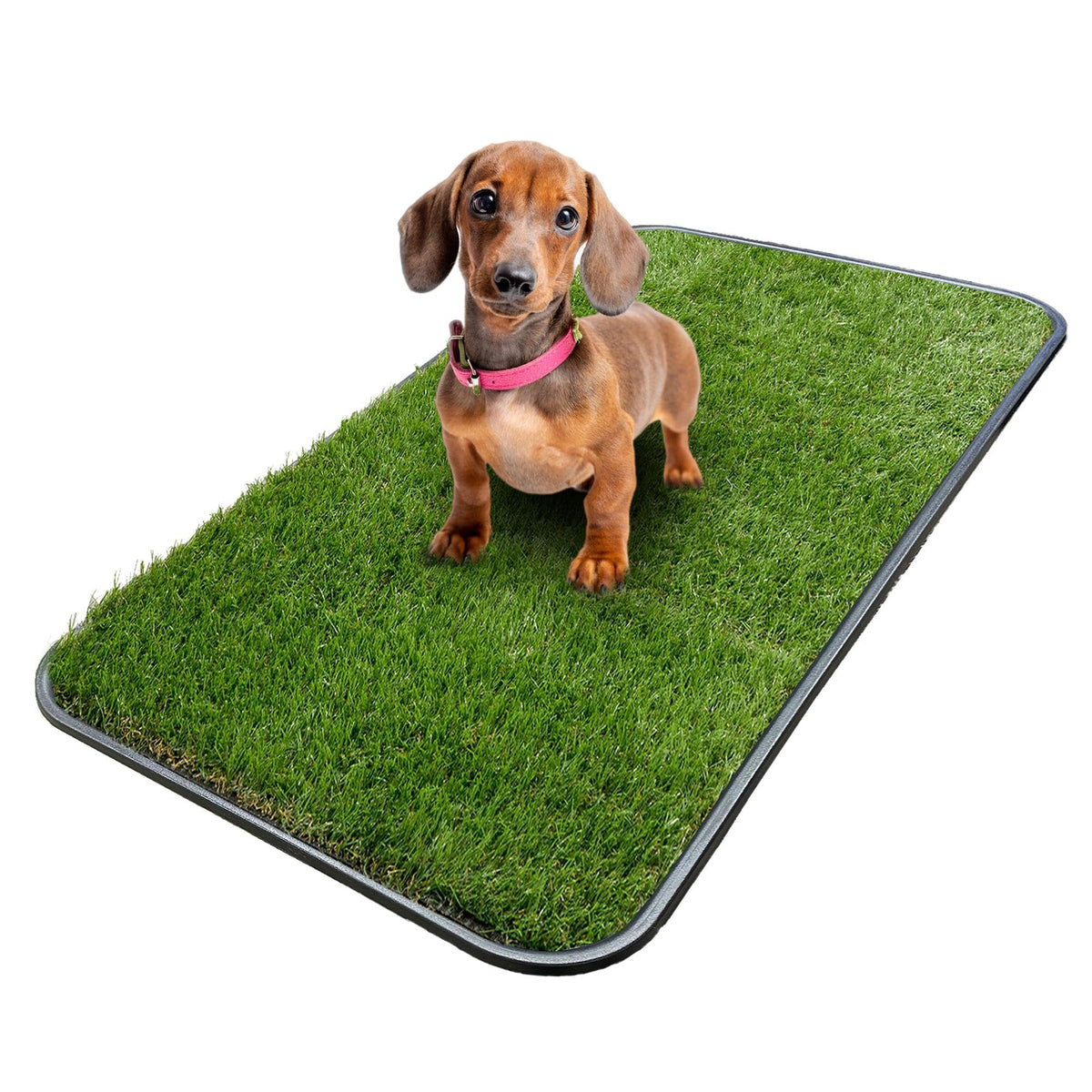 Artificial Grass Puppy Potty Training Pad with Tray 15" x 30" Z746108