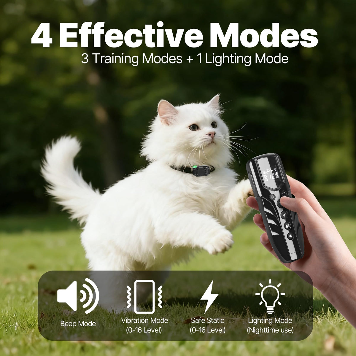 Small Cat Training Collar with Remote, Waterproof Rechargeable, Black L802