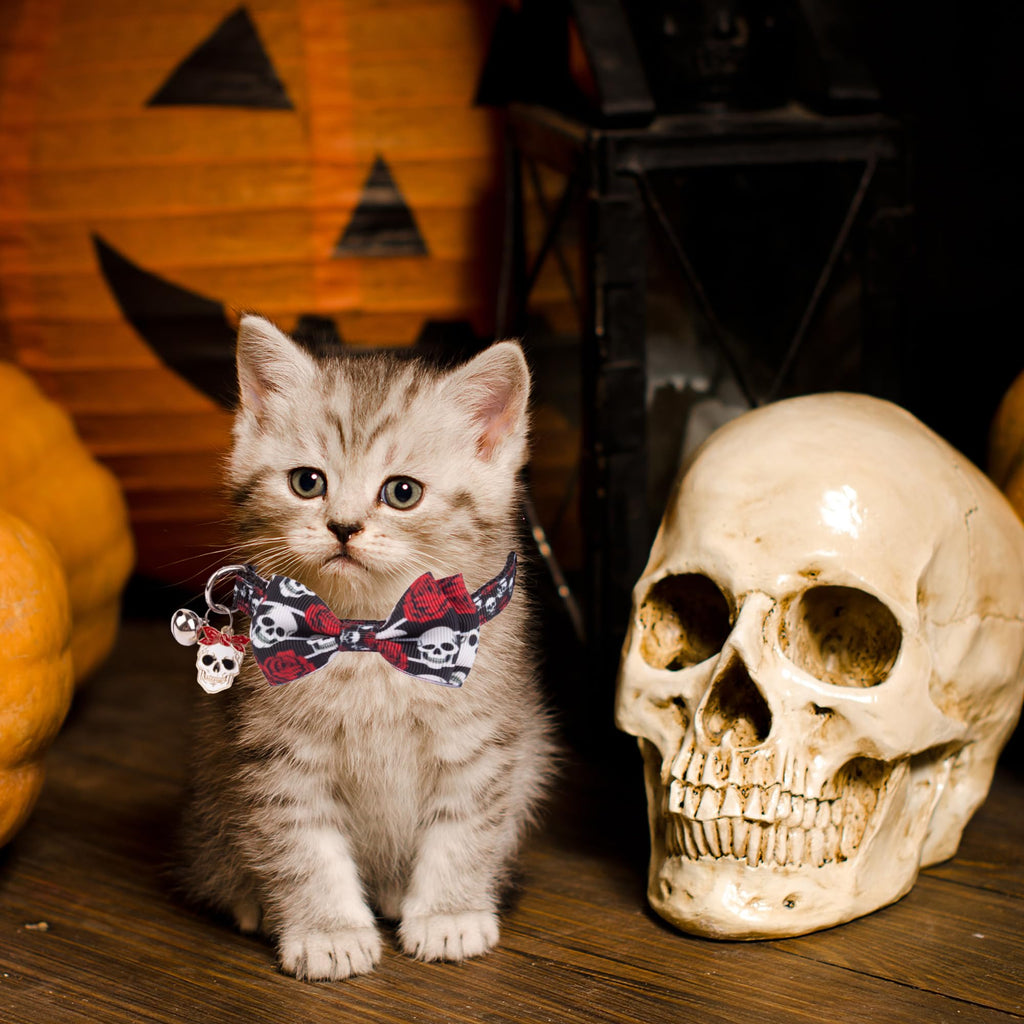 Halloween Cat Collar with Bow Bell A7271