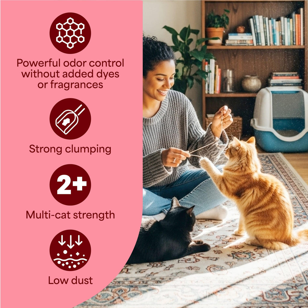 Unscented Multi Cat Clumping Cat Litter, 18.5 lb T7945