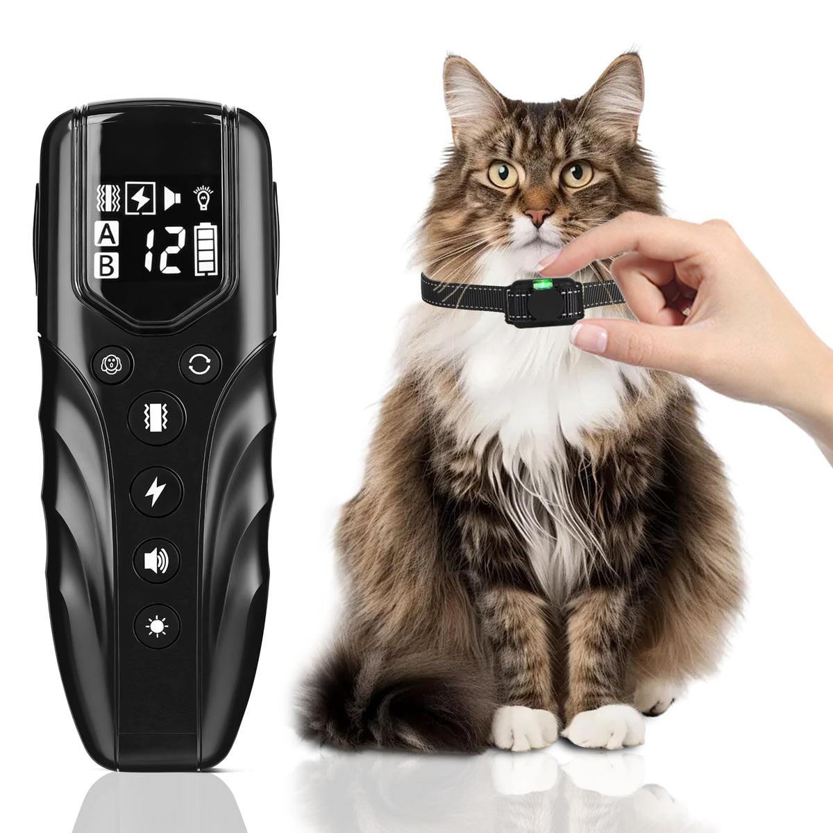 Small Cat Training Collar with Remote, Waterproof Rechargeable, Black L802