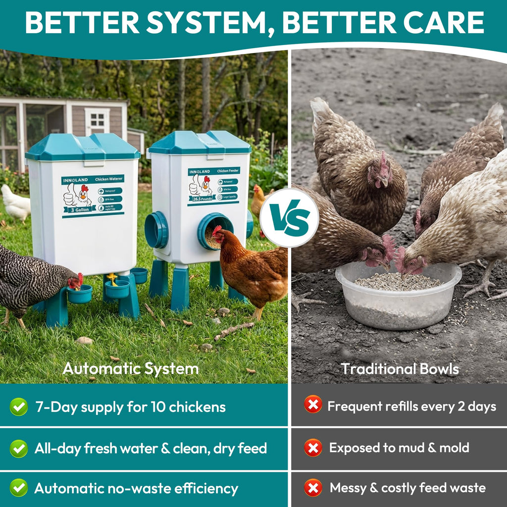 Chicken Feeder and Waterer Set S10587