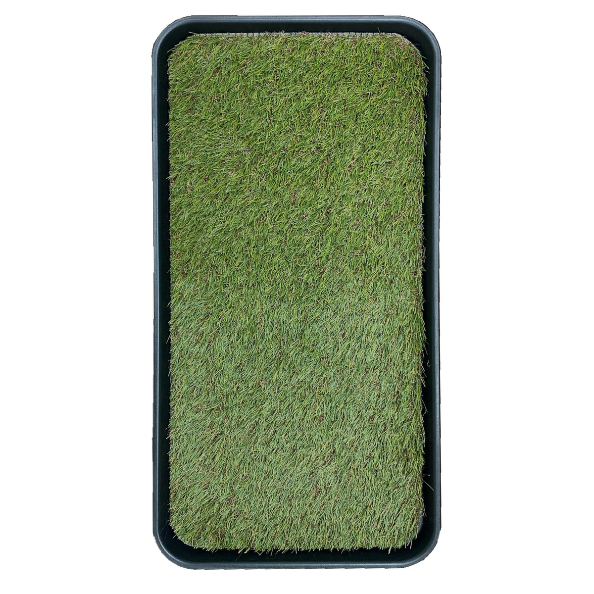 Artificial Grass Puppy Potty Training Pad with Tray 15" x 30" Z746108