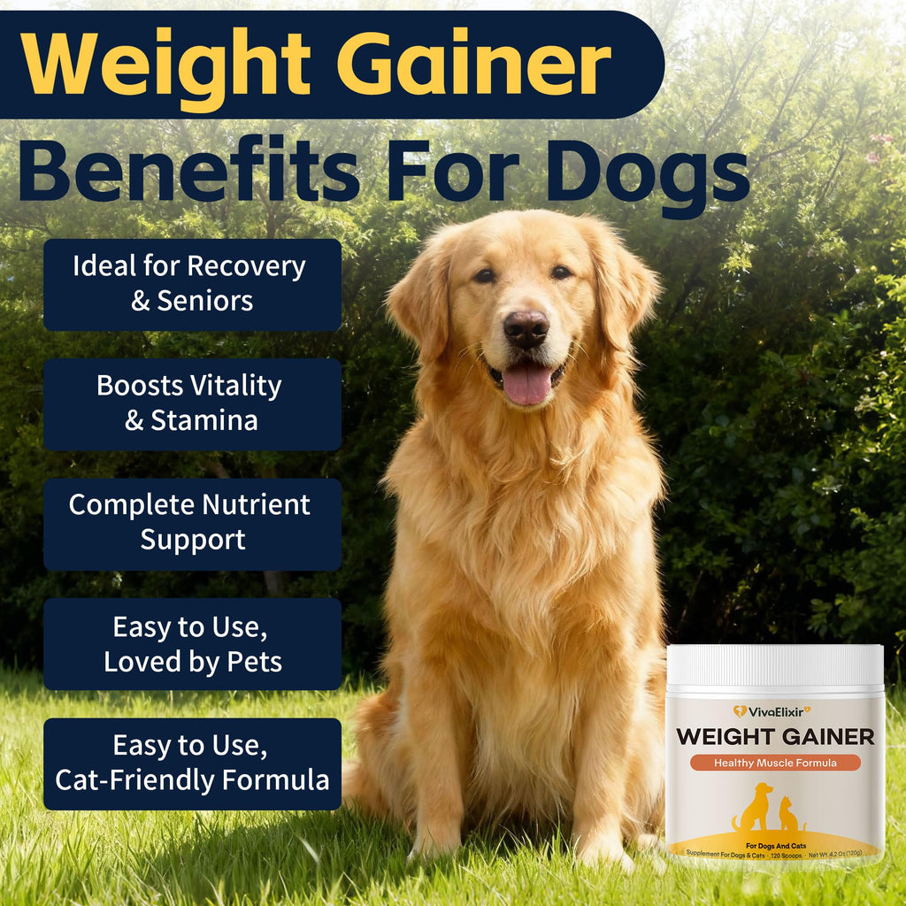 Dog Weight Gainer Pet Supplement with Vitamins & Minerals Chicken Flavor A788