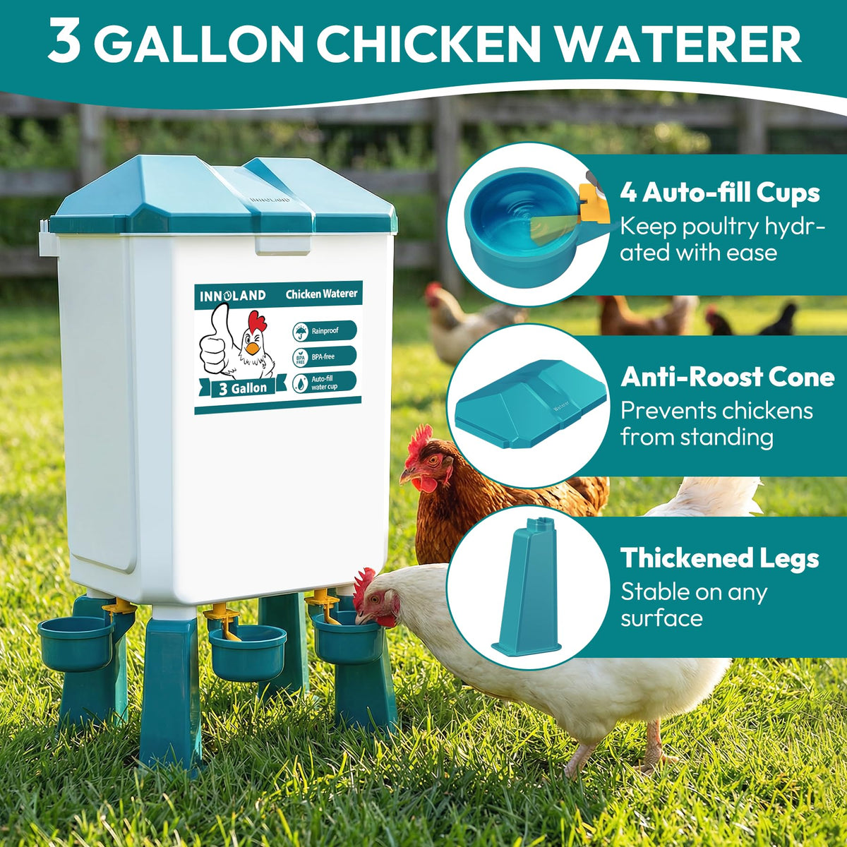 Chicken Feeder and Waterer Set S10587