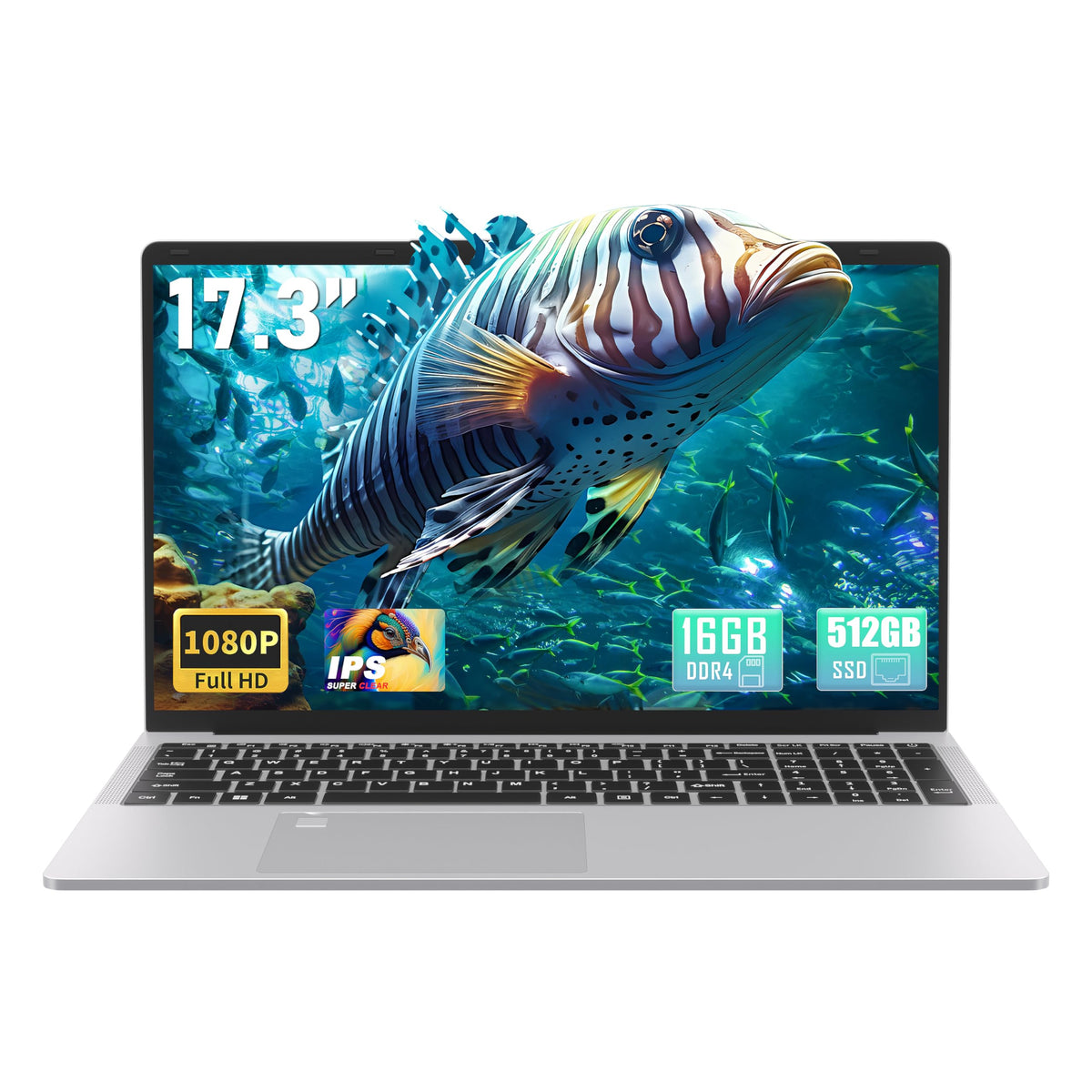 17.3" FHD IPS Business Laptop Computer, Silver N726885