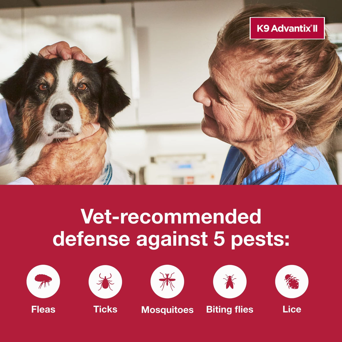 Flea & Tick Topical for Large Dogs 21–55 lbs., 2ct Z958