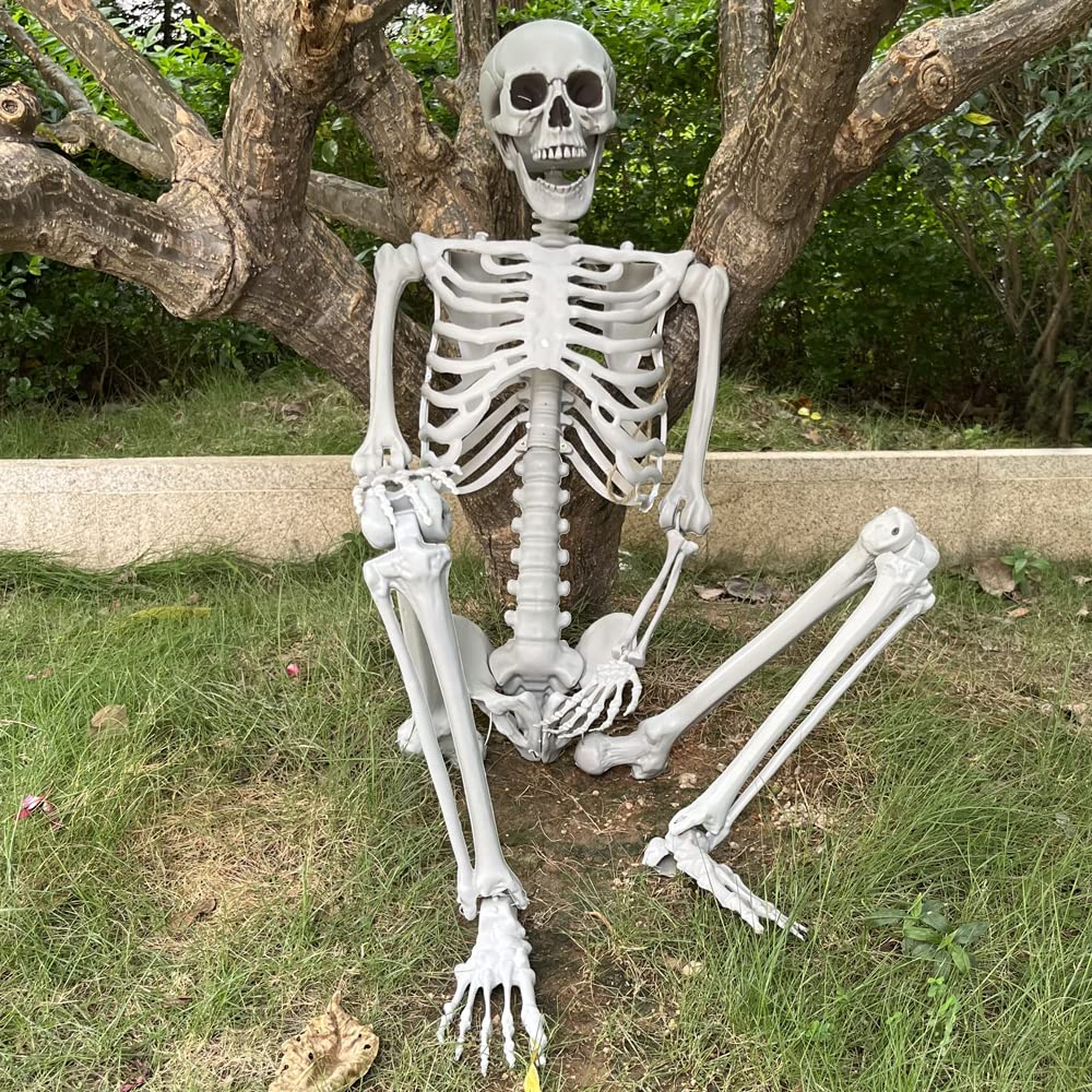 5.4Ft Life Size Skeleton with Movable Joints N81535