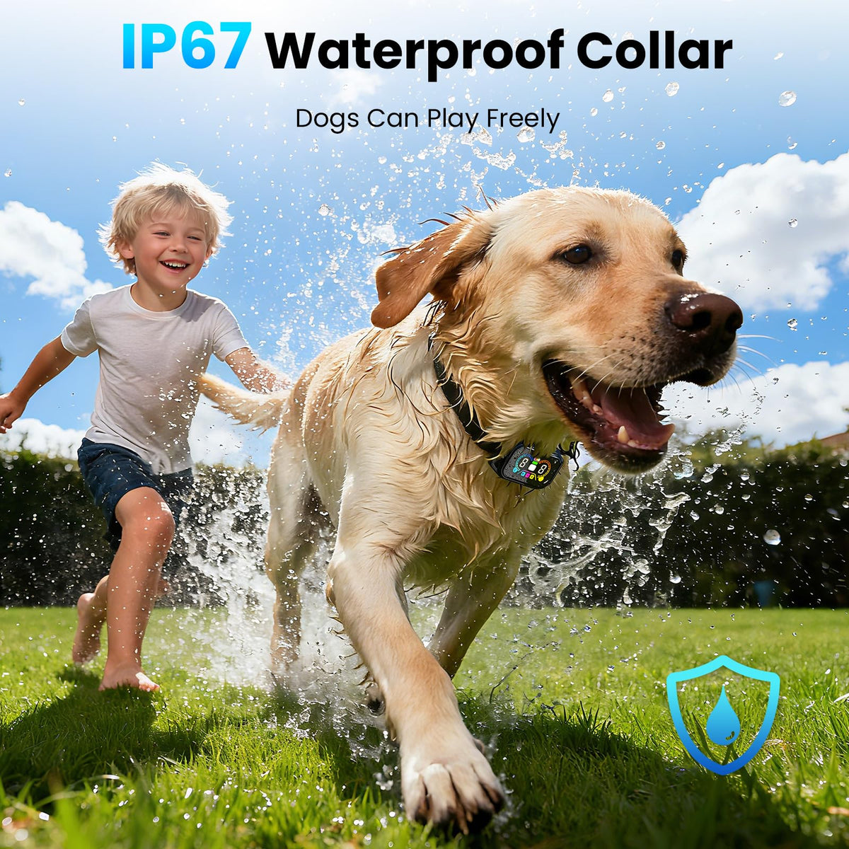 2-in-1 Dog Bark Collar with Remote, 3 Modes, IP67 Waterproof T91124