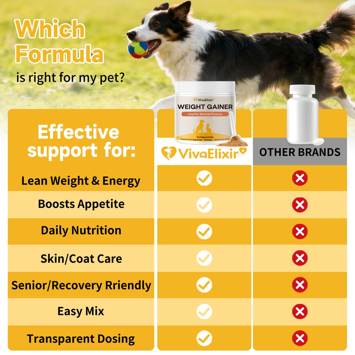 Dog Weight Gainer Pet Supplement with Vitamins & Minerals Chicken Flavor A788
