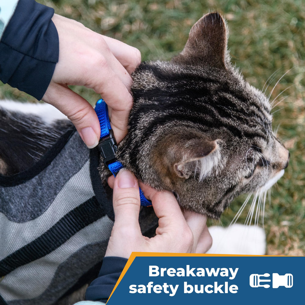 Personalized Cat Collars with Breakaway Safety Release Buckle H89037