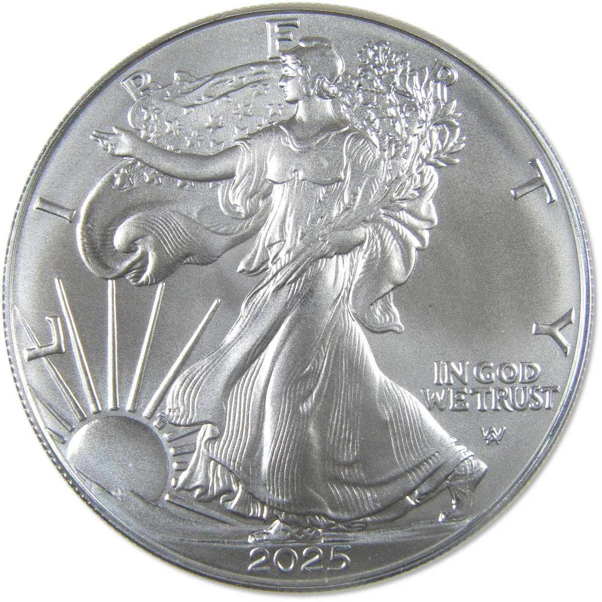 2025 American Silver Eagle $1 Coin M67764