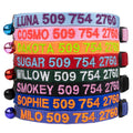 Personalized Cat Collars with Breakaway Safety Release Buckle H89037