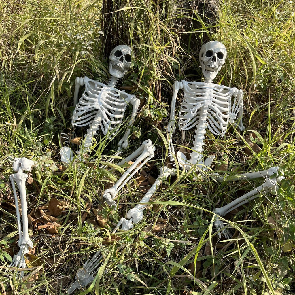 5.4Ft Life Size Skeleton with Movable Joints N81535