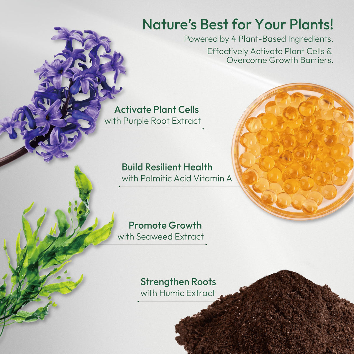 Liquid Plant Food & Fertilizer Concentrate D754