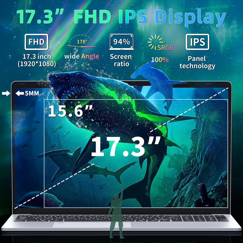 17.3" FHD IPS Business Laptop Computer, Silver N726885