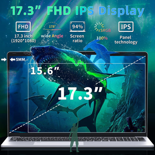 17.3" FHD IPS Business Laptop Computer, Silver N726885